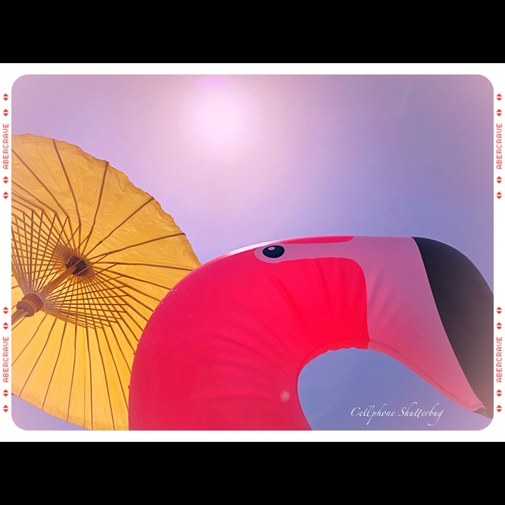 Meet your Posher, Jilien